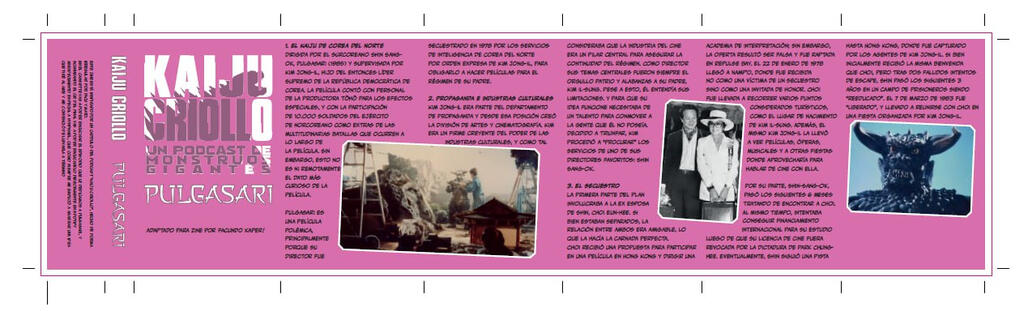 Fanzine design for Cassette format