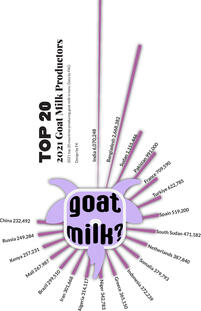 Graphic representation of goat milk consuption by country (top 20)